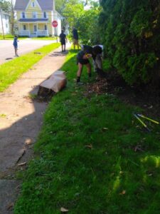 Project Community, May 2026 02